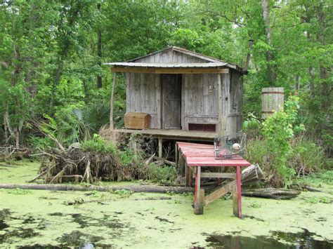 Voodoo Swamps: A Hotspot for Shamanic Healing and Spiritual Enlightenment